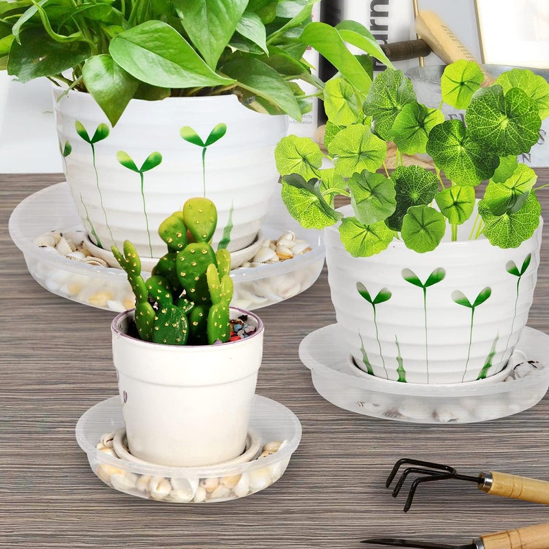SupKing 6 Pack Plant Saucers Drip Tray,6 8 10 12 14 15 Inch Heavy Sturdy Plastic Flower Pot Saucers for Indoor,Clear Plastic Planter Water Tray for Plant Pots Liners (8''-Clear) - Image 5